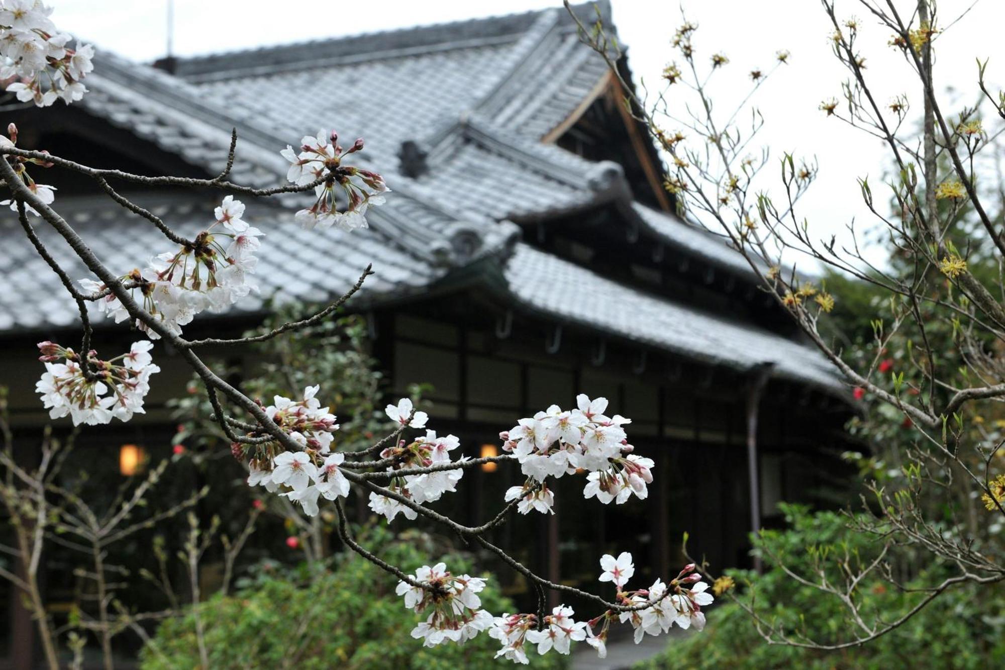 Shisui, A Luxury Collection Hotel, Nara Exteriér fotografie